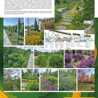 Нескучный-сад_Березовая-Роща