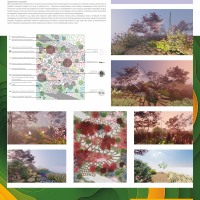 Сады-балтии_Турбулентность