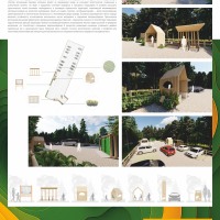 Юлия-Сибиркина_Парковка-в-парке-Куршская-коса_750x1500