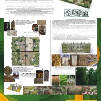 Hopta-Landscape_Чудские-образки_750x1500