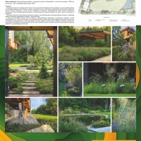 PAPINO_Сад-у-леса