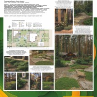 Vsevsad66_Лесная-бионика